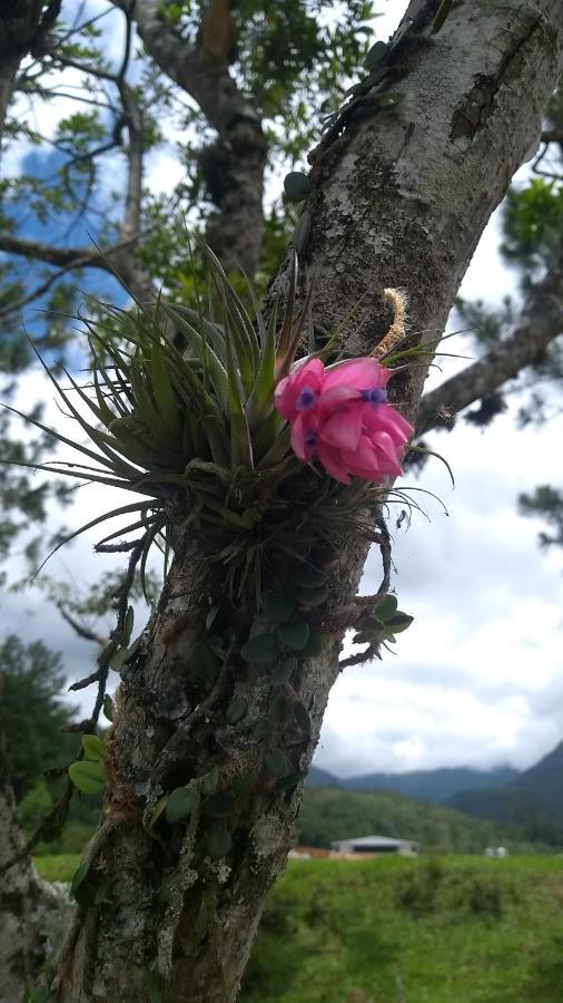 Hostel E Pousada Vale Mirante Da Rocha Timbe do Sul Exteriör bild