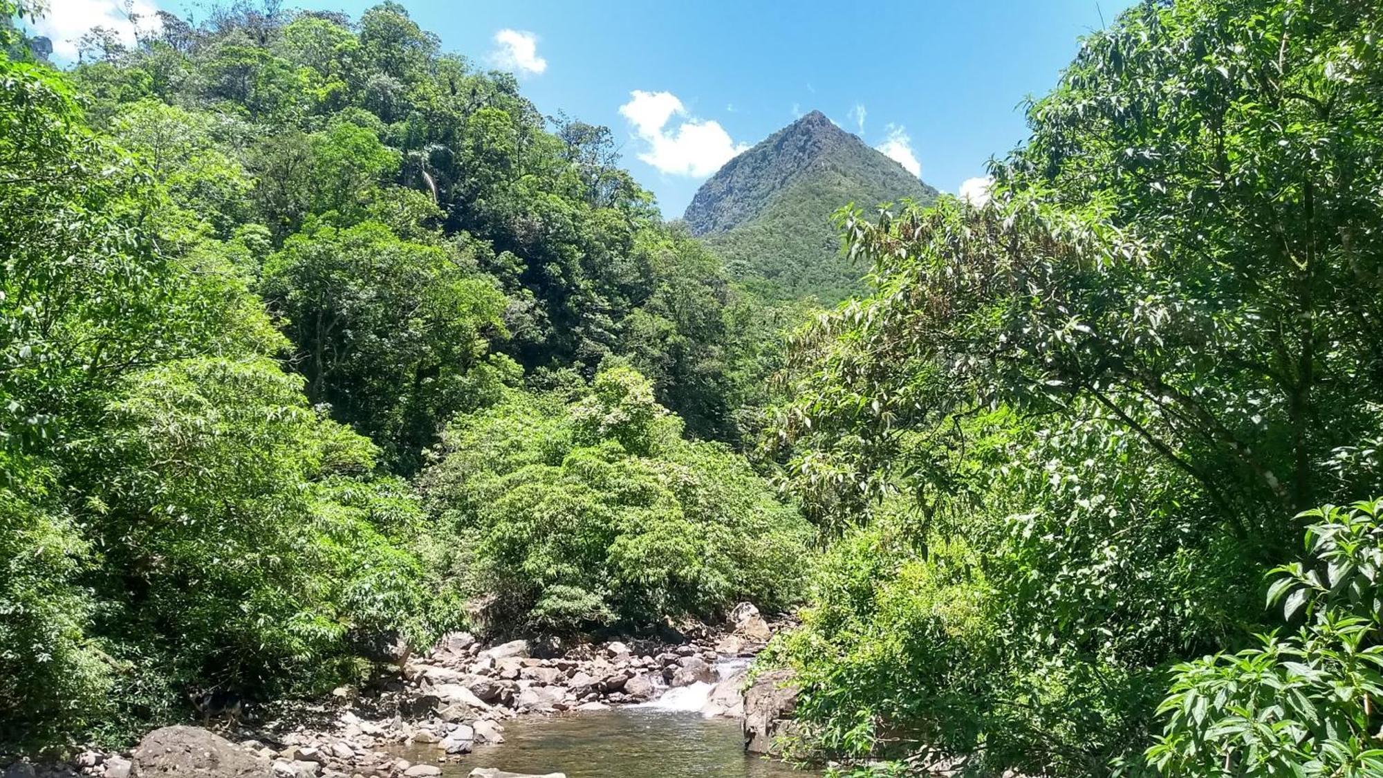 Hostel E Pousada Vale Mirante Da Rocha Timbe do Sul Exteriör bild